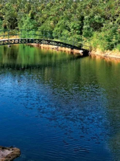 Aquasphere Pond Cleaners 6 Aquasphere Pond Cleaners -Garden Series Store 37425 001ed 1