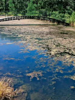 Aquasphere Pond Cleaners 7 Aquasphere Pond Cleaners -Garden Series Store 37425 002ed 1