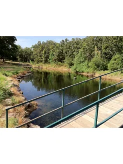 Blast, 125,000 Gallon, 12 Packets -Garden Series Store 37425 002v 1