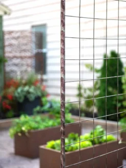 Jardin Rose Arch -Garden Series Store 38690 9948 tif