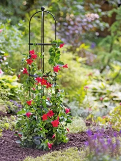 Essex Round Trellises -Garden Series Store 39544 2267 tif