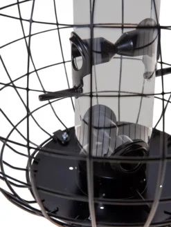 Mixed Seed Globe Cage Feeder -Garden Series Store 8586659 6400