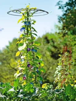 Essex Tuteur, 78" -Garden Series Store 8587861 5028 tif