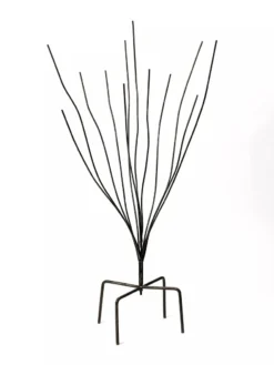 Bottle Bush -Garden Series Store 8588047 0697