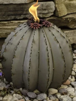 Desert Steel Golden Barrel Cactus Torches -Garden Series Store 8591454 01V tif