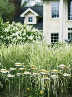 Fish Out Of Water Garden Stakes, Set Of 5 -Garden Series Store 8593672 9124 tif