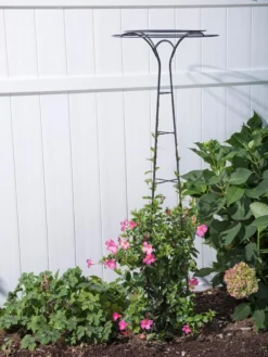 Essex Tuteur, 63" -Garden Series Store 8594162 0023 tif