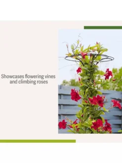 Essex Tuteur, 63" -Garden Series Store 8594162 4