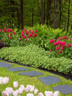 Recycled Rubber Flagstone Stepping Stone -Garden Series Store 8594282 518 tif