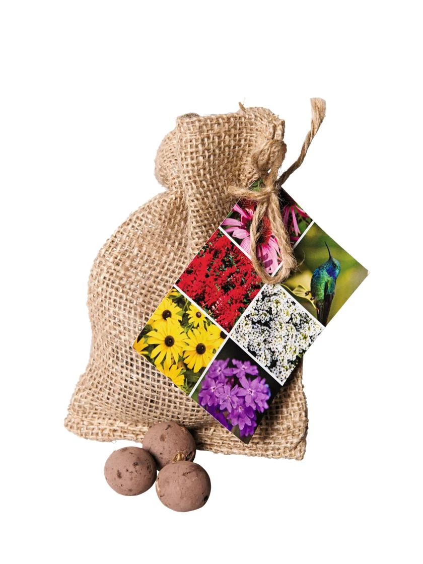 Wildflower Seed Balls 1 Wildflower Seed Balls