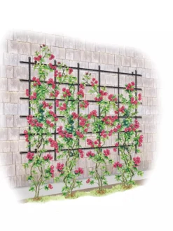 Titan Customizable Wall Trellis