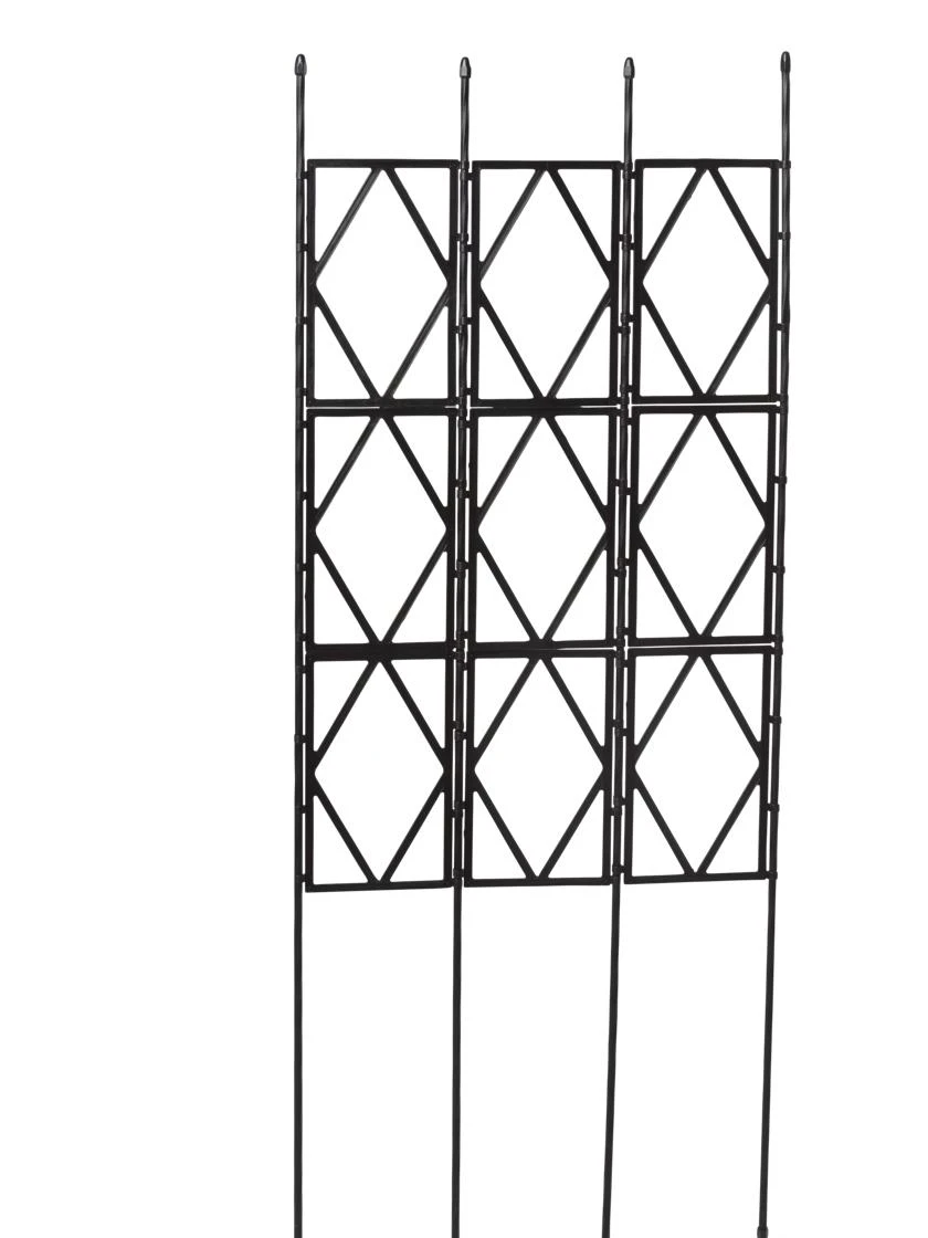 Diamond Trellis 2 Diamond Trellis - Image 2