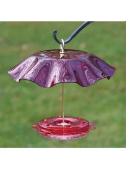 Birds Choice™ Hummingbird Nectar Feeder With Weather Guard Kit 5 Birds Choice™ Hummingbird Nectar Feeder With Weather Guard Kit -Garden Series Store 8598910 01v