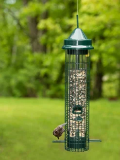 Brome® Squirrel Buster™ Classic Bird Feeder