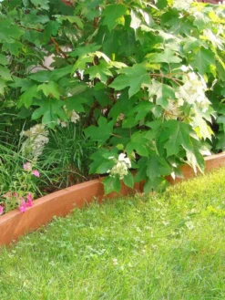 Curved Landscape Edging Kit With 2" Boards -Garden Series Store 8599407 03V tif