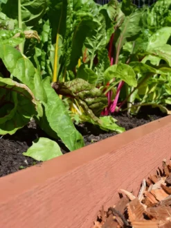 Straight Landscape Edging Kit With 2" Boards -Garden Series Store 8599408 02V tif