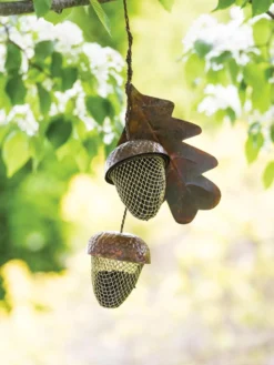 Acorn Bird Feeder -Garden Series Store 8599573 14075 tif