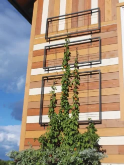 Exeter Wall Trellis -Garden Series Store 8600049 7121 tif