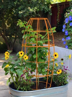 Toki Bubble Trellis -Garden Series Store 8600520 03V tif