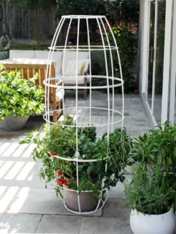 Toki Bubble Trellis -Garden Series Store 8600520 05V tif