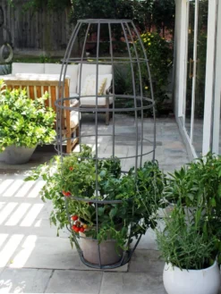 Toki Bubble Trellis -Garden Series Store 8600520 07V jpg