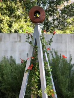 Bird Cafe + Akoris Garden Tuteur Sr. 14 Bird Cafe + Akoris Garden Tuteur Sr. -Garden Series Store 8600525 07v 1