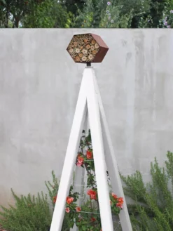 Bee Bungalow + Akoris Garden Tuteur Sr. -Garden Series Store 8600532 03V tif