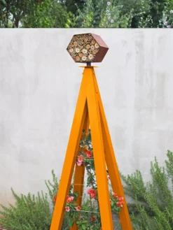 Bee Bungalow + Akoris Garden Tuteur Sr.