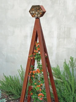 Bee Bungalow + Akoris Garden Tuteur Sr. -Garden Series Store 8600532 06V tif