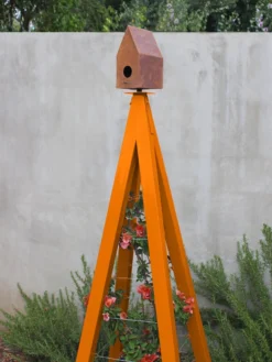 Bird Bungalow + Akoris Garden Tuteur Sr. -Garden Series Store 8600538 04v bird bungallow akoris garden tuteur kumquat