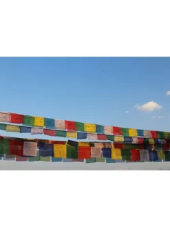 Tibetan Prayer Flags 8 Tibetan Prayer Flags -Garden Series Store 8600646 01v