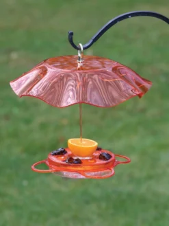 Birds Choice™ Oriole Feeder With Bee And Weather Guard