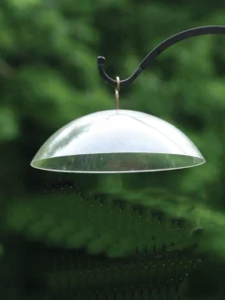 Birds Choice Hanging Dome With Brass Hanger