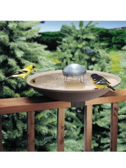 Birds Choice ® Solar Water Wiggler