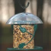 Birds Choice Hanging Seed Cylinder Bird Feeder