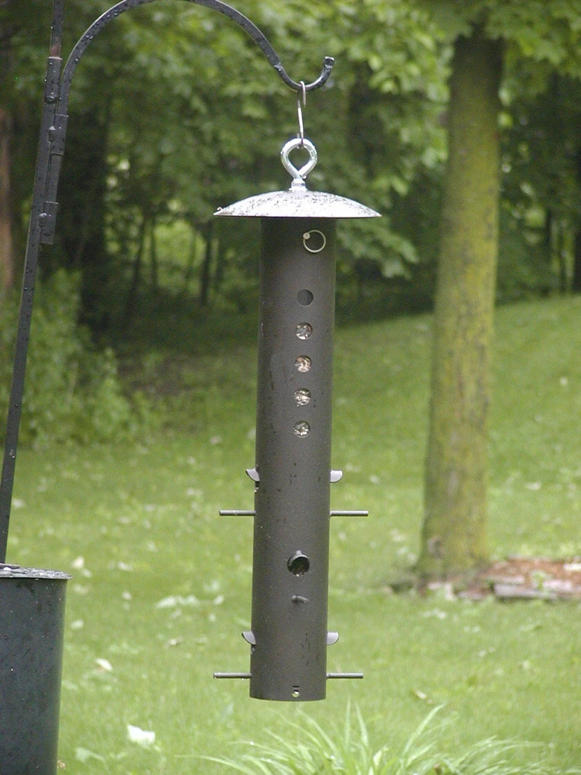 Birds Choice Bear-Proof Feeder 1 Birds Choice Bear-Proof Feeder