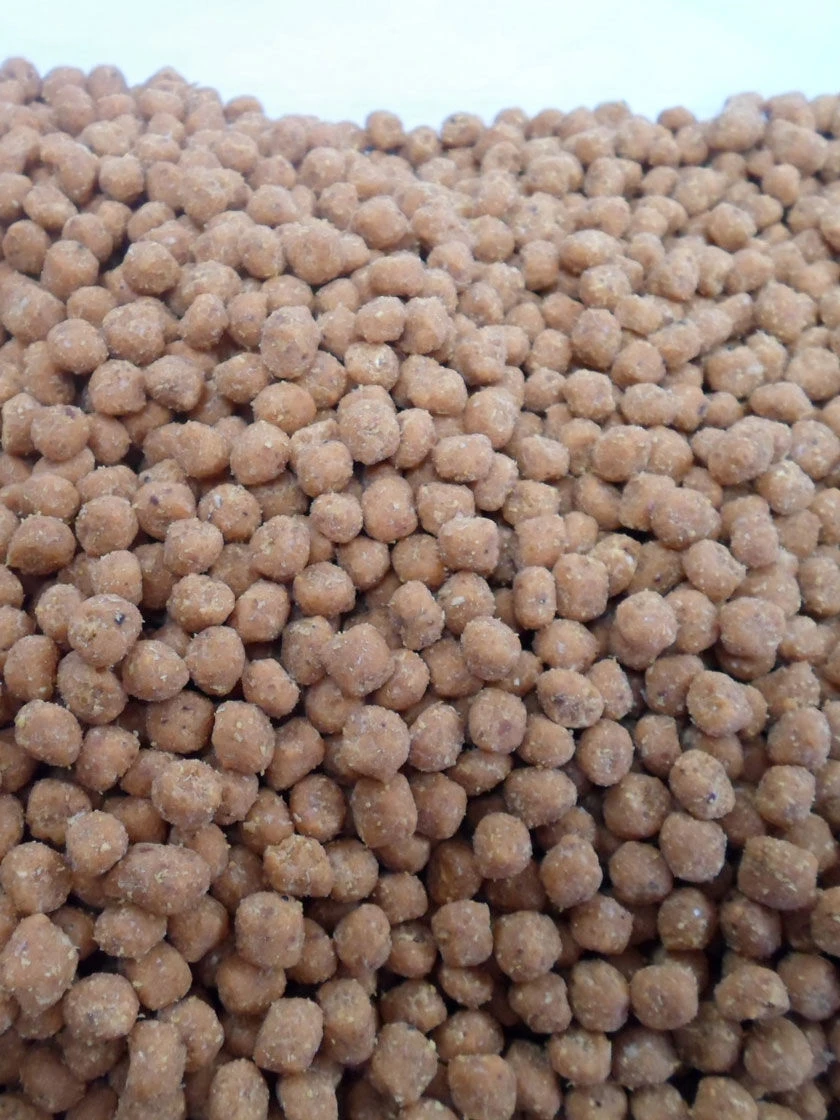 Birds Choice Hot Pepper Suet Nuggets, 5 Lbs. 1 Birds Choice Hot Pepper Suet Nuggets, 5 Lbs.