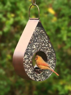 Teardrop Fly-Thru™ Bird Feeder 7 Teardrop Fly-Thru™ Bird Feeder -Garden Series Store 8609054 02v