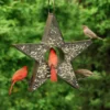 Star Fly-Thru™ Bird Feeder