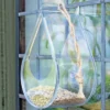 Dewdrop Window Bird Feeder