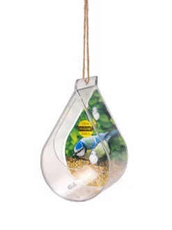 Dewdrop Window Bird Feeder -Garden Series Store 8609061 4447 tif
