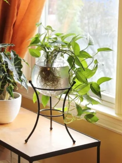 Achla Designs Multi Use Stand -Garden Series Store 8609343 01v achla designs multi use stand