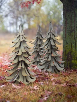 Desert Steel Blue Atlas Cedar -Garden Series Store 8610550 07v