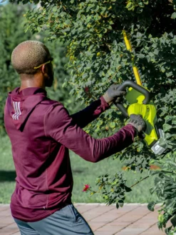 Sun Joe 24V-HT22-LTE 24-Volt ION+ Cordless Hedge Trimmer Kit | 22-Inch | W/ 2.0-Ah Battery And Charger -Garden Series Store 8610657 07v