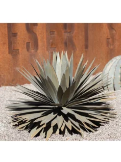 Desert Steel Yucca Plant Sculpture 7 Desert Steel Yucca Plant Sculpture -Garden Series Store 8610744 02v