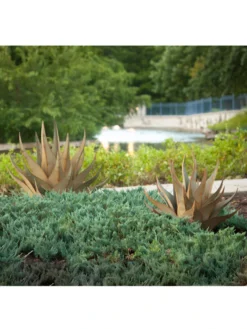 Desert Steel Sharkskin Agave Sculpture 9 Desert Steel Sharkskin Agave Sculpture -Garden Series Store 8610753 05v