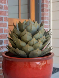 Desert Steel Artichoke Agave Sculpture