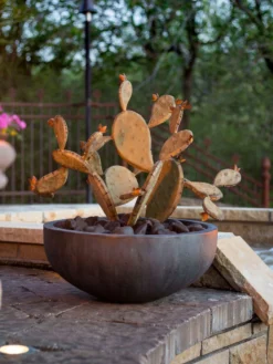 Desert Steel Prickly Pear Cactus Sculpture, Redondo -Garden Series Store 8610768 03v