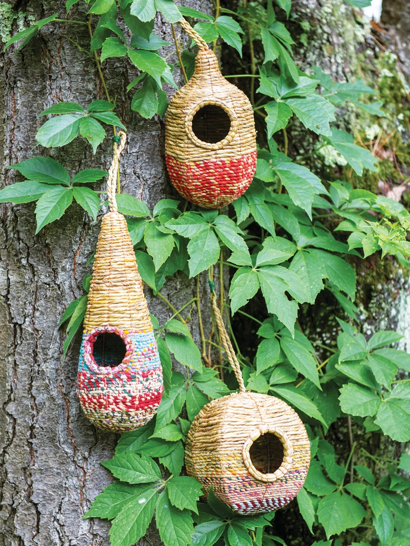 Artisan Bird Nester 1 Artisan Bird Nester