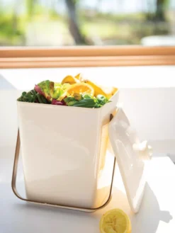 Clean Contemporary Compost Pail